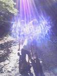 天使jpg