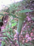 080504_1546~0001.jpg