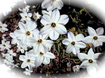 CA3A0274.jpg